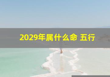 2029年属什么命 五行